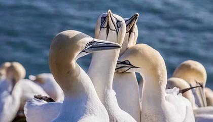 这款工具能检查你的个人信息是否被泄露吗？