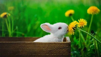 查一个人的老底有哪些免费方法？3个实用技巧推荐